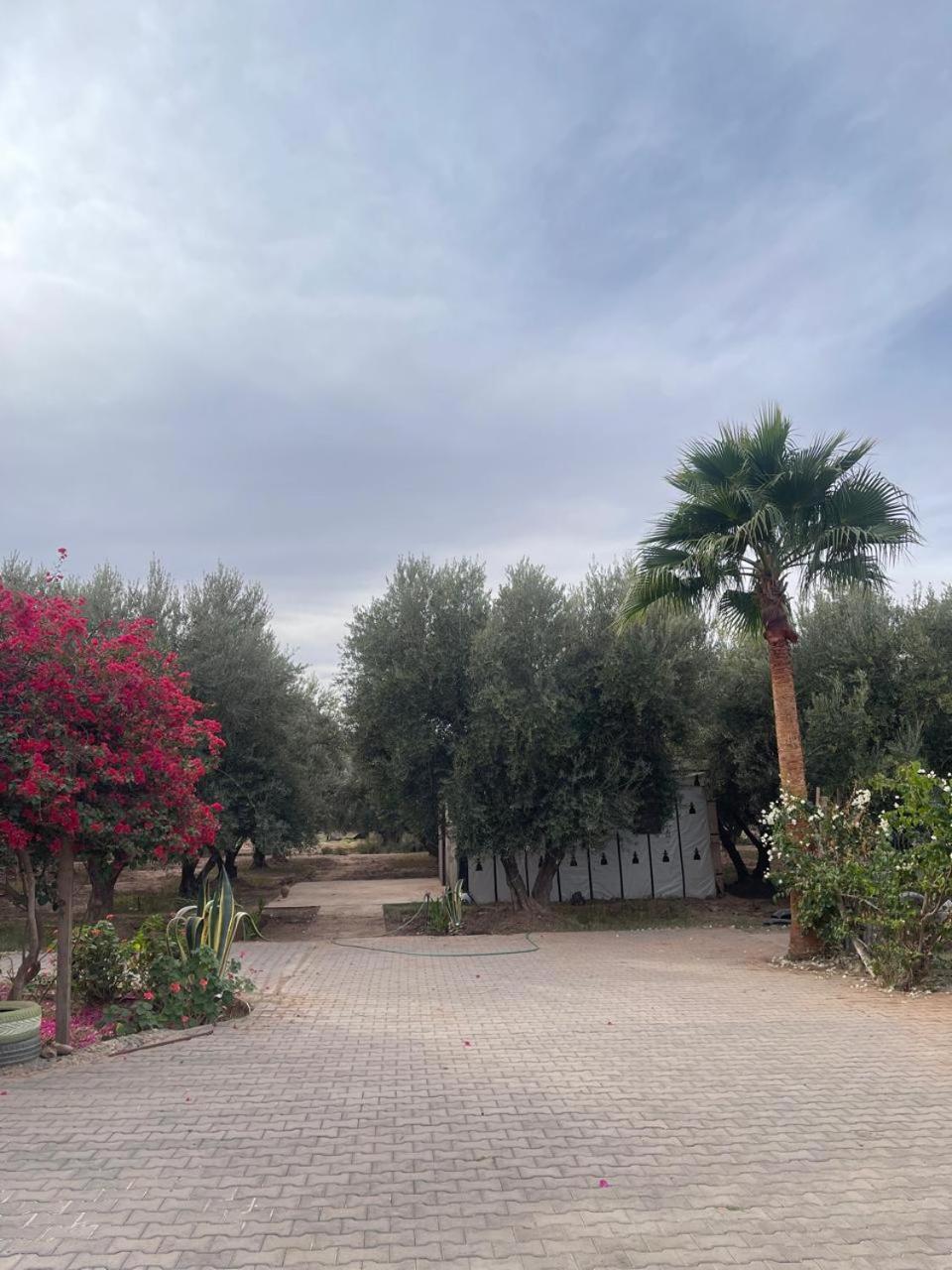 Riad Oussari Марракеш Екстер'єр фото